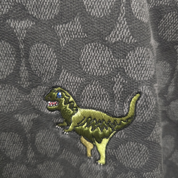 Coach Signature Monogram Rexy Hoodie in Charcoal Gray - Picture 3 of 13